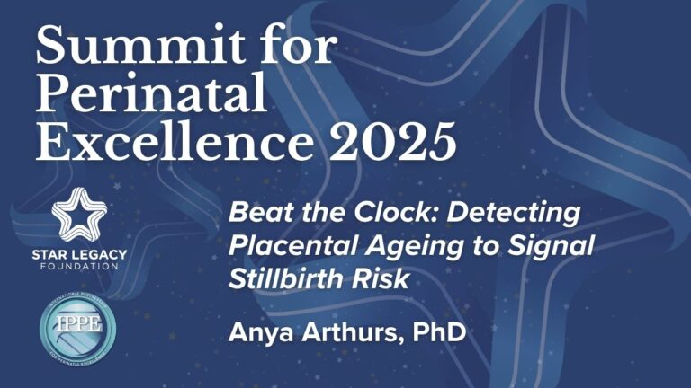 Beat the Clock: Detecting Placental Ageing to Signal Stillbirth Risk